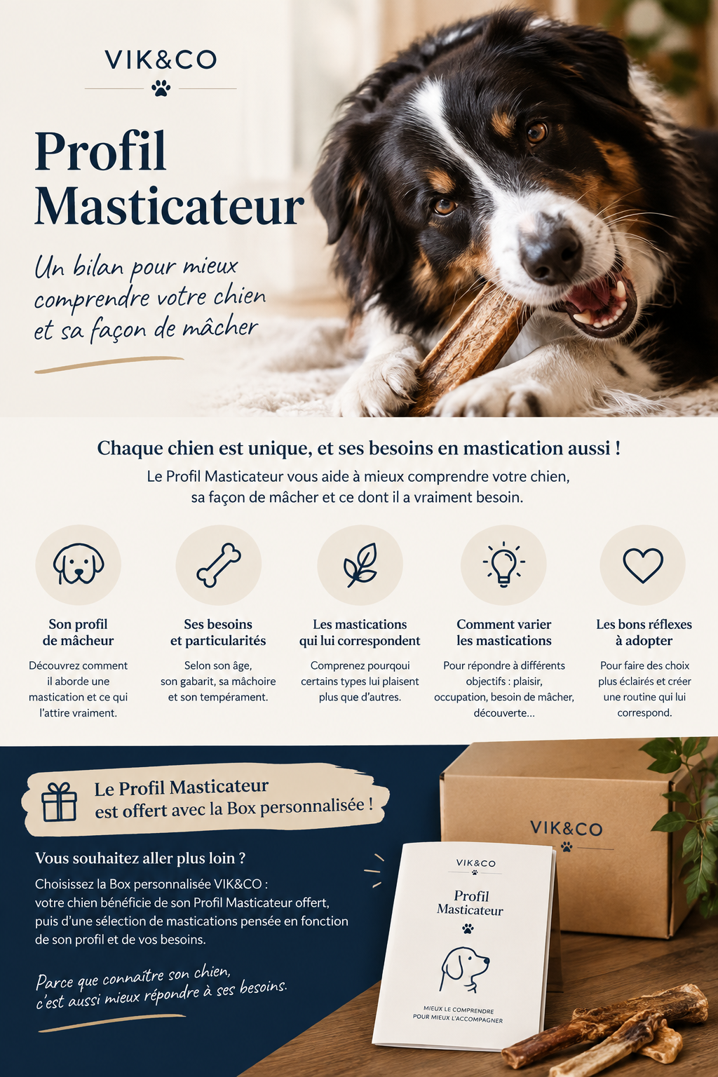 Bilan "profil masticateur"