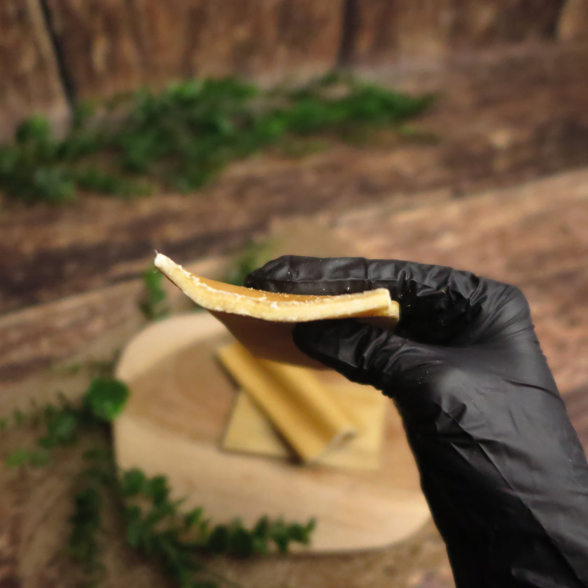Chip's denta