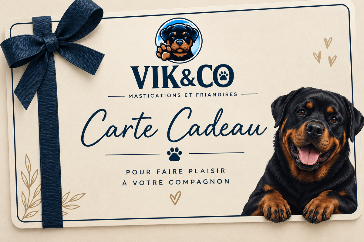 Carte cadeau VIK&CO