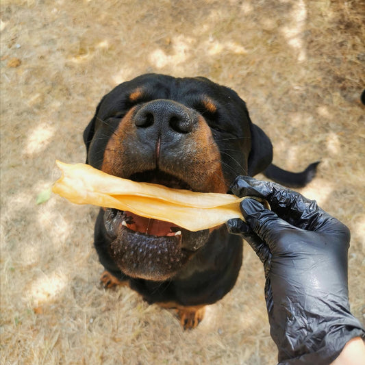 Mastication pour chien 100% naturelle - VIK&CO