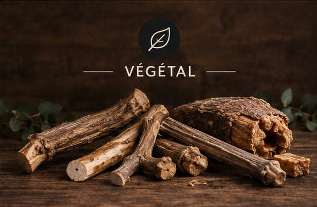 VEGE - VEGETAL