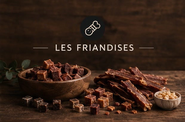 FRIANDISES