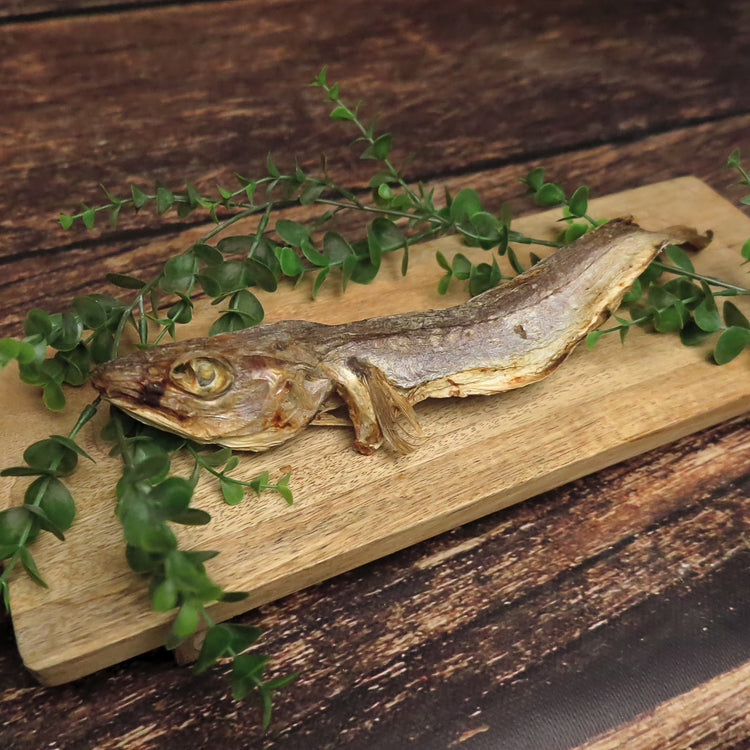 Poisson