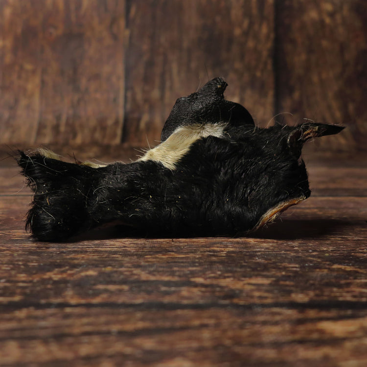 Boeuf