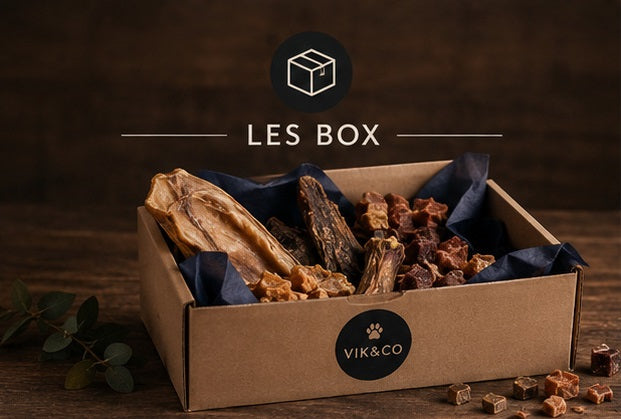 BOX