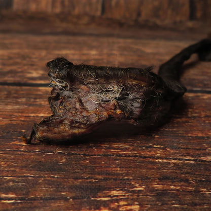 Bâton de peau de boeuf 75CM - avec fourrure -
