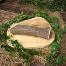 Bois de cerf entier