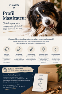 Bilan "profil masticateur"