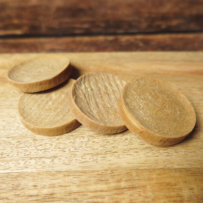 Disques croquants au saumon et Tapioca