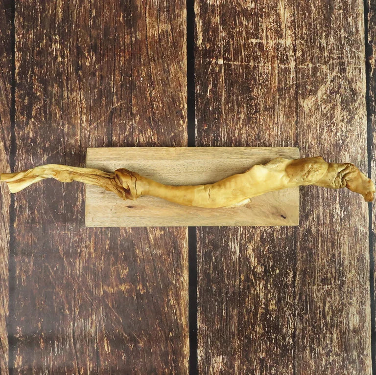 Bâton de boeuf 75CM - sans fourrure -