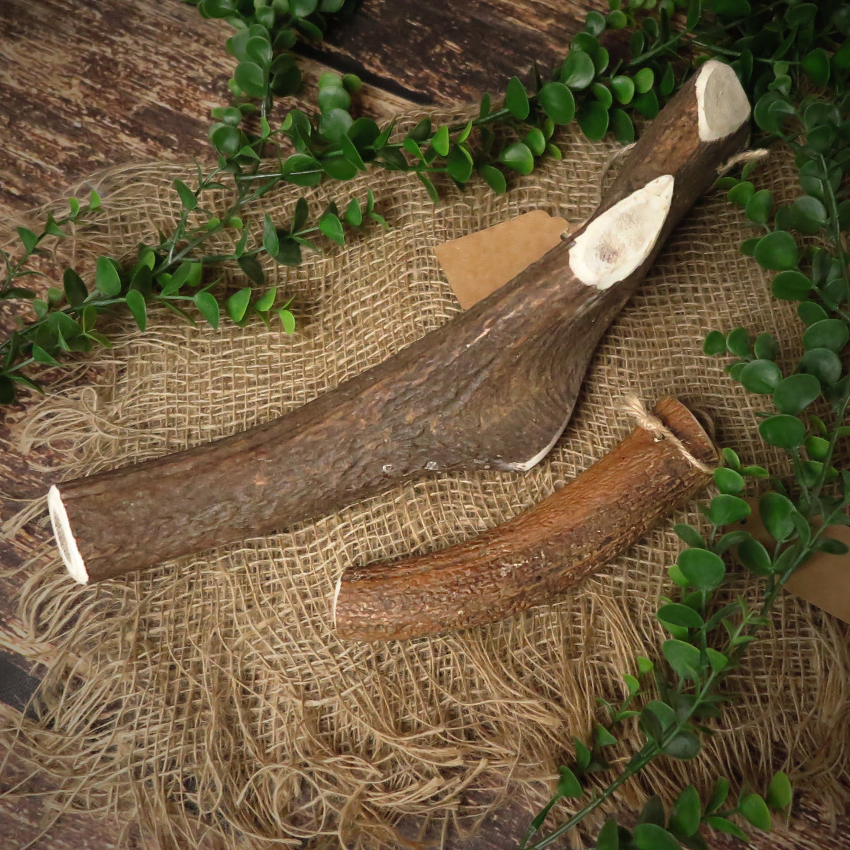 Bois de cerf - MAMMOUTH