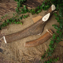 Bois de cerf - MAMMOUTH