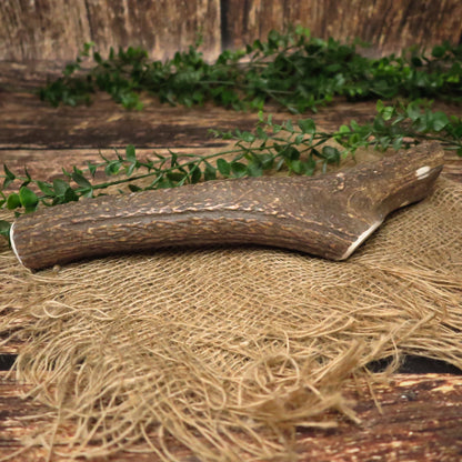 Bois de cerf - MAMMOUTH