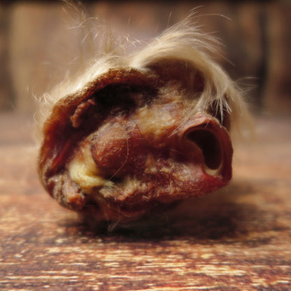Oreille de boeuf - avec fourrure -