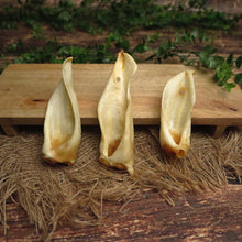 Oreilles d'agneau - sans fourrure -