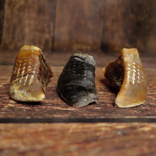 Sabot de boeuf