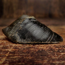 Sabot de boeuf